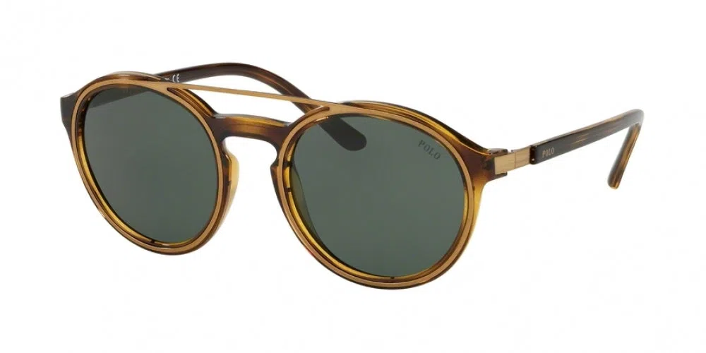 Polo 4139 Sunglasses
